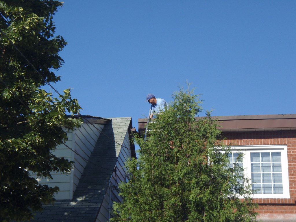 local roofer local roofer